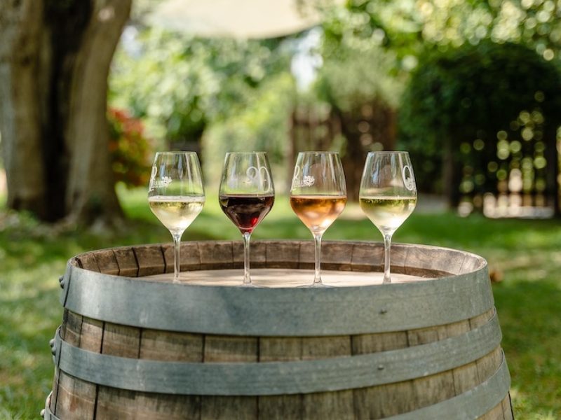 Domaine de la source wine tours french riviera copie