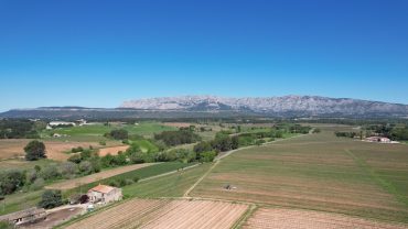 Entreprise de circuit dans les vignoble et dégustation de vins en provence