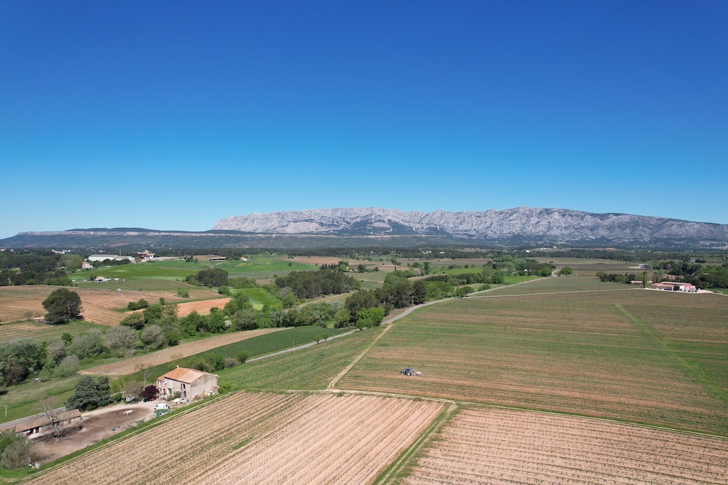 Entreprise de circuit dans les vignoble et dégustation de vins en provence