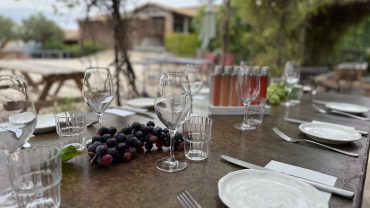 Circuits œnologiques en Provence : visite du Château Saint-Roux et restaurant gastronomique dans le Var