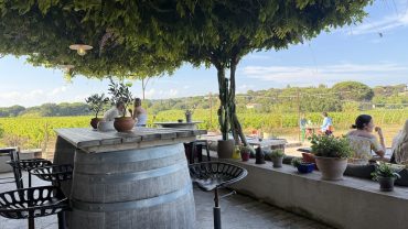 Wine Tour Saint-Tropez : Visite du Château des Marres et vignobles d’exception
