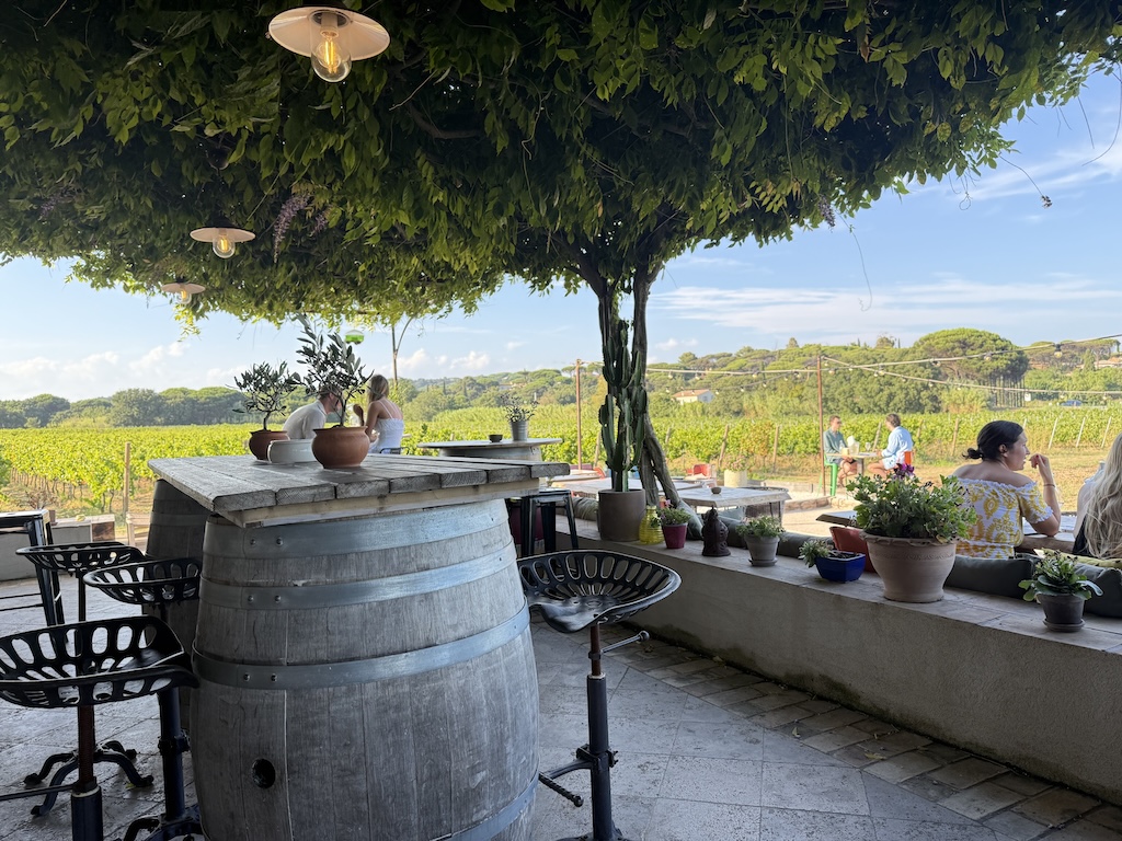 Wine Tour Saint-Tropez : Visite du Château des Marres et vignobles d’exception