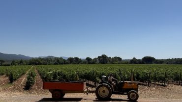 Découvrez le Château des Demoiselles et nos circuits œnologiques en Provence