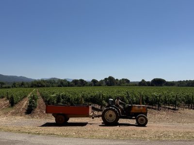 Découvrez le Château des Demoiselles et nos circuits œnologiques en Provence