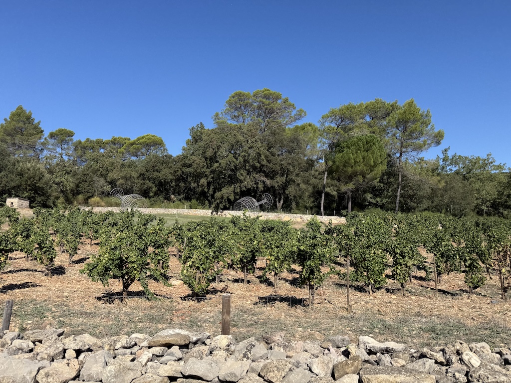 Le terroir viticole des Bouches-du-Rhône et ses trésors